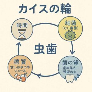 カイスの輪